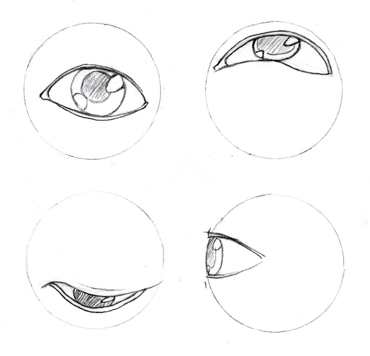 Поэтапный рисунок глаза карандашом
