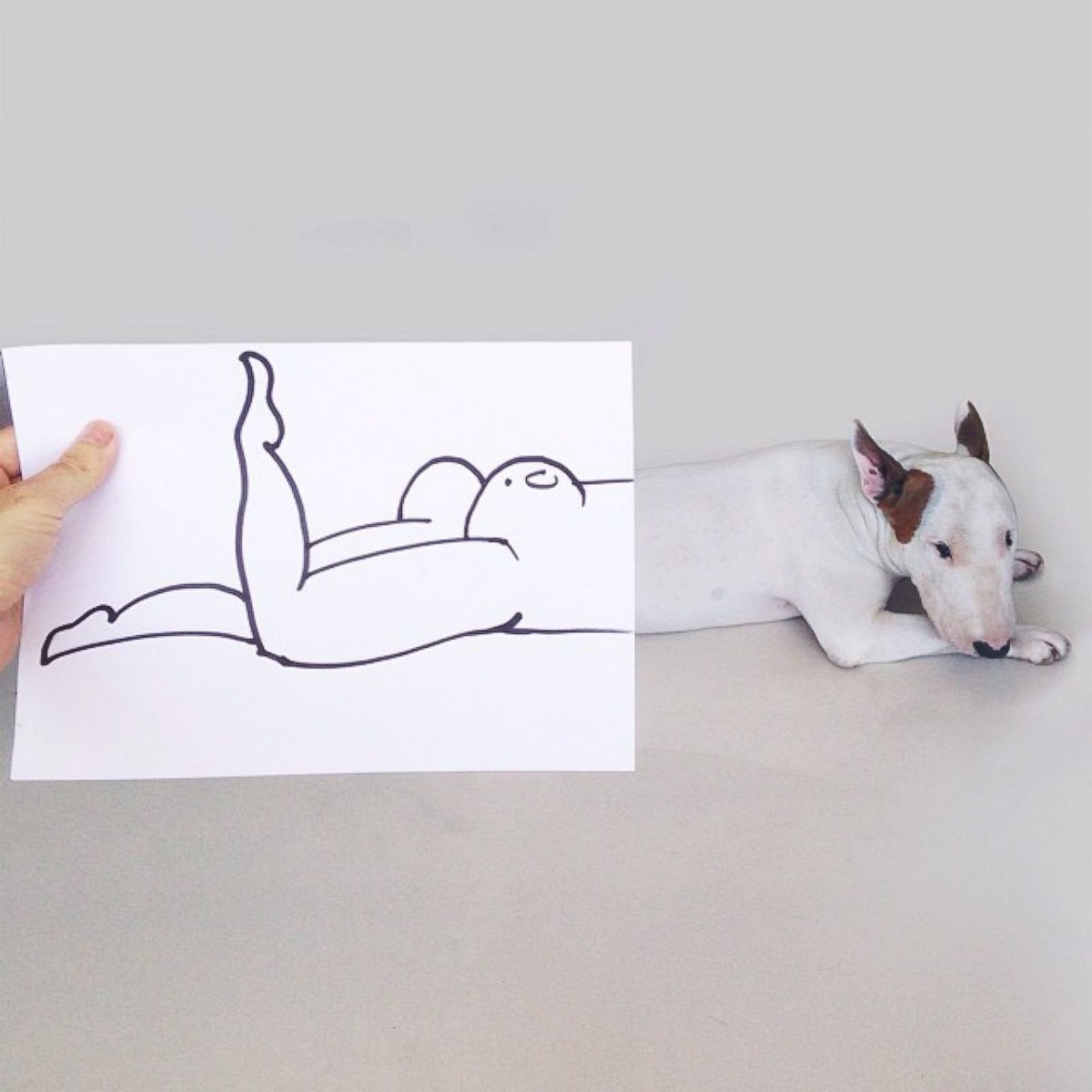 Идеи для рисунков собак