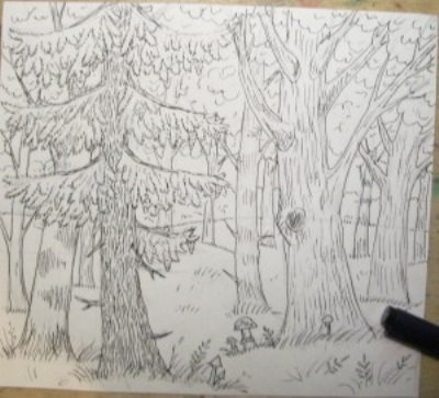 Ствол березы для рисования