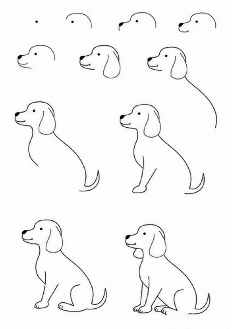 Собака нарисовать легко ребенку