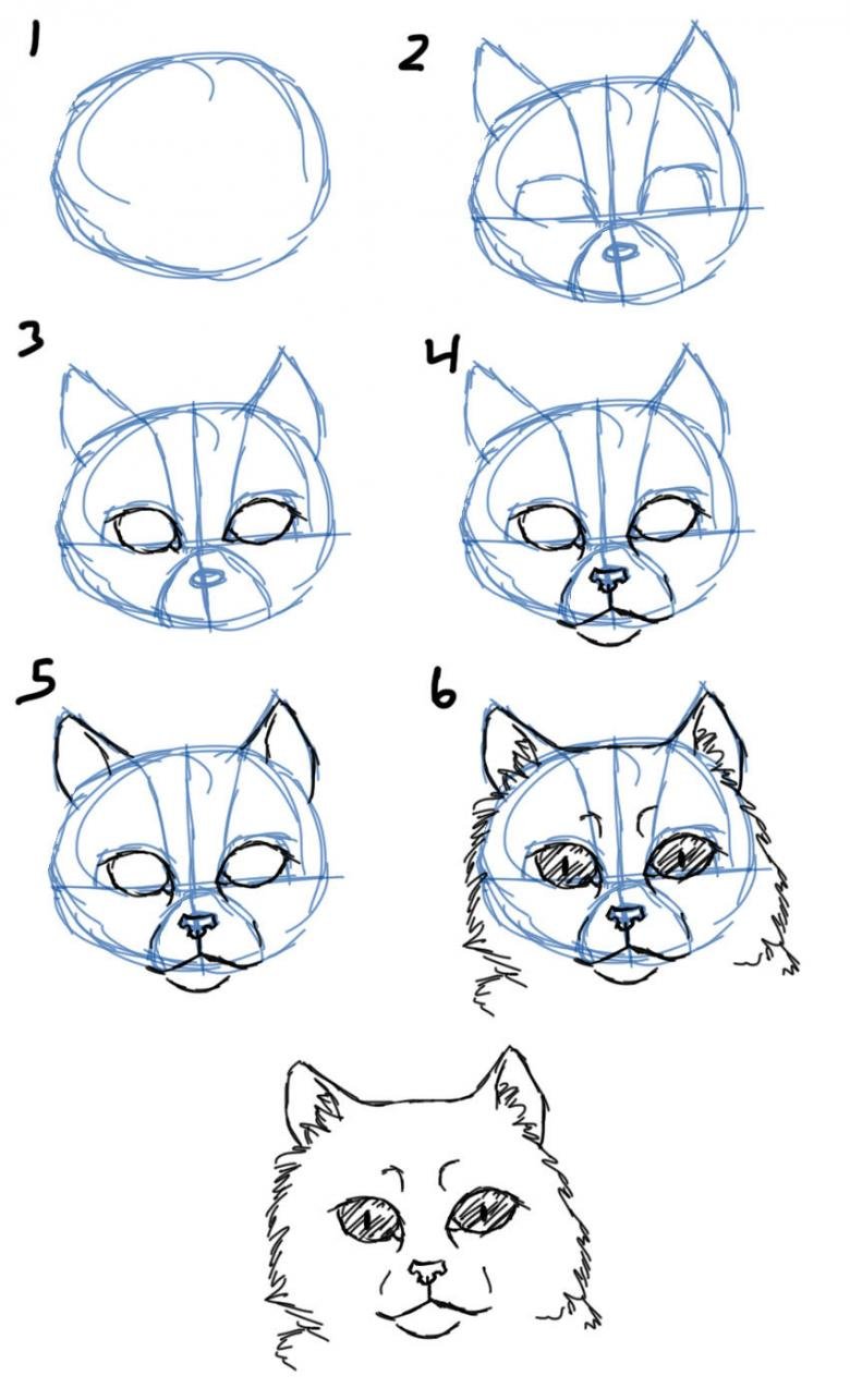 Как нарисовать кота поэтапно