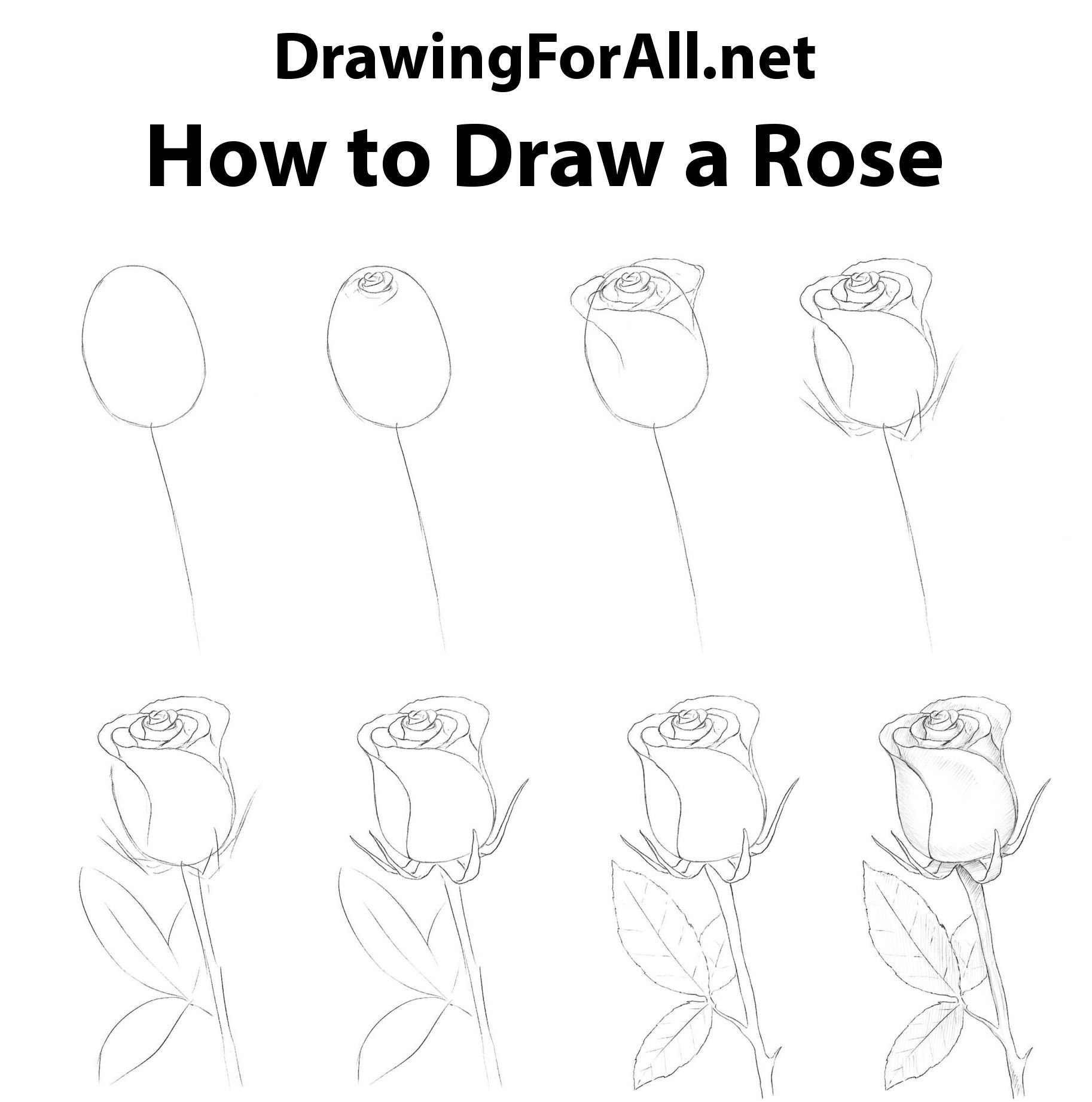 Легкий рисунок розы поэтапно
