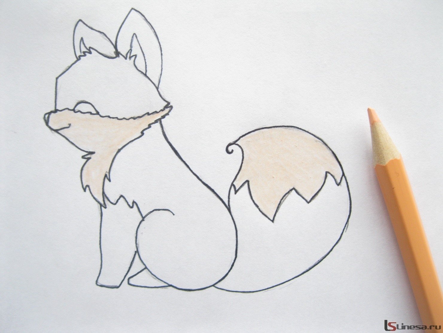Лиса карандашом легко. Лиса карандашом для срисовки. Рисунок лисы карандашом для срисовки легкие. Лиса рисунок карандашом для срисовки. Рисунок лисы для срисовки.