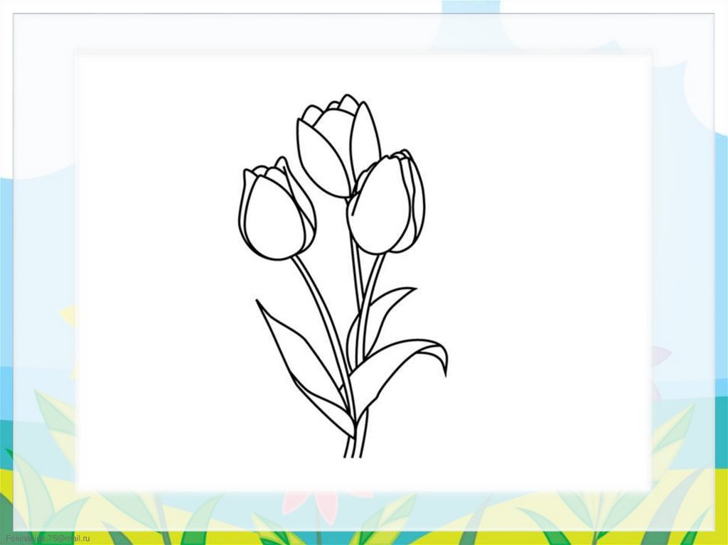 Нарисовать рисунок тюльпаны. Тюльпаны для срисовывания. Тюльпаны рисунок карандашом. Рисунки тюльпанов для срисовки. Рисунок тюльпана карандашом для срисовки.