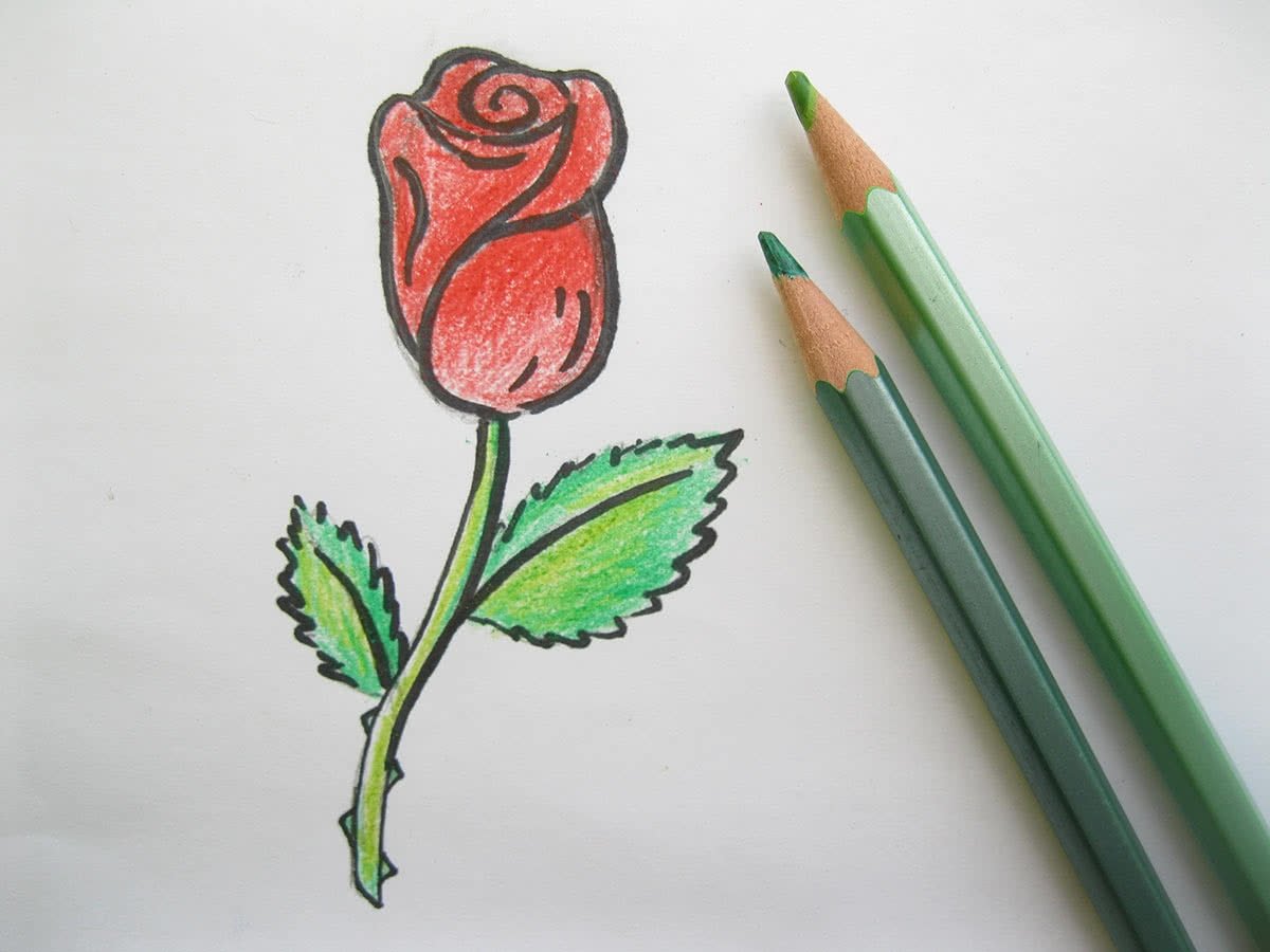Рисунки цветными карандашами для срисовки легкие и красивые