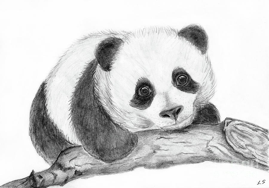 Нарисовать панду карандашом легко