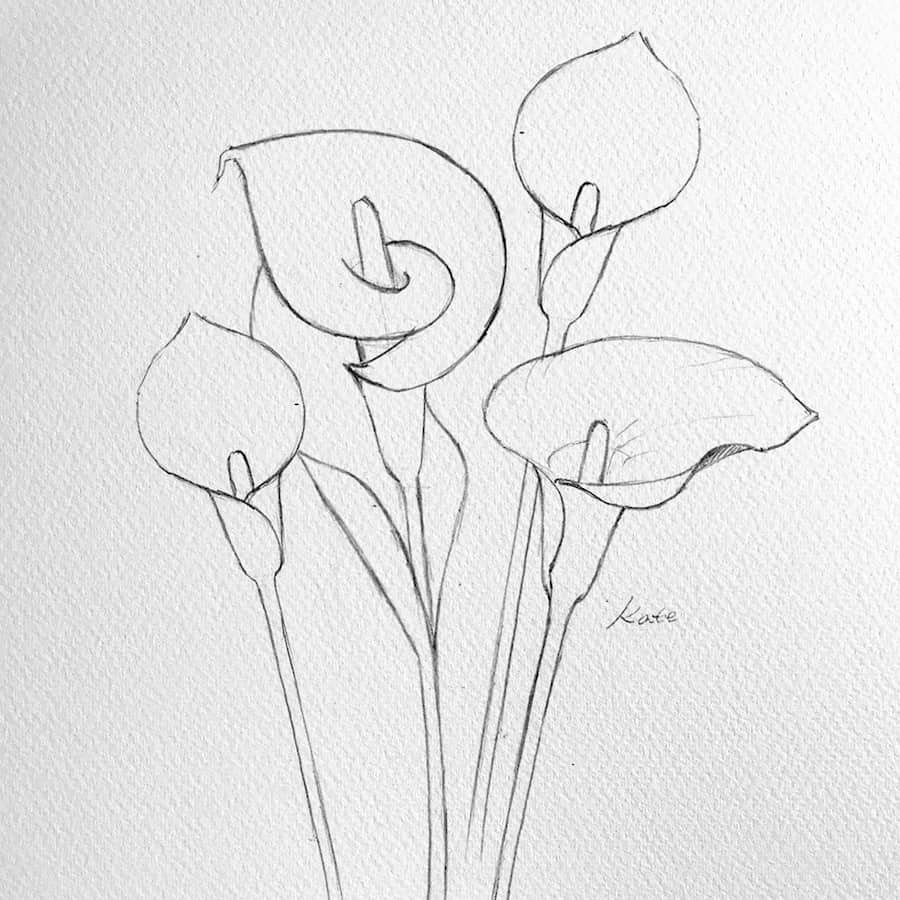 Рисование карандашом для начинающих цветы
