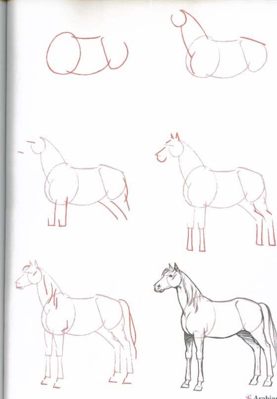 Рисуем лошадь поэтапно. Рисунки карандашом для начинающих. Лошадь карандашом. Поэтапное рисование карандашом. Поэтапное рисование лошади карандашом.
