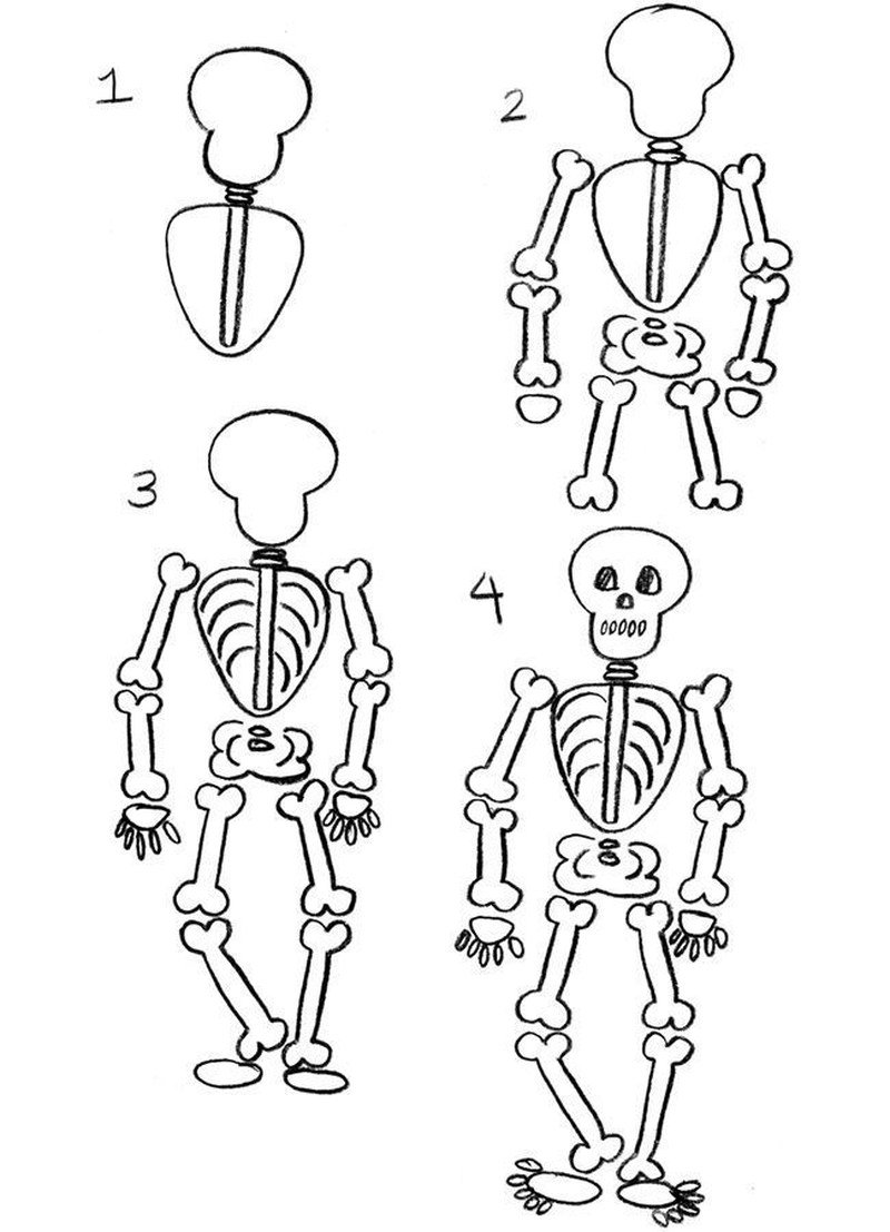 Скелет человека для рисования