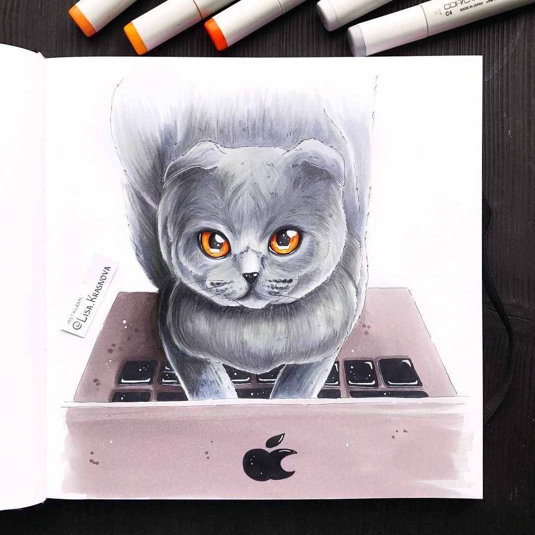 Котики для рисования в скетчбуке
