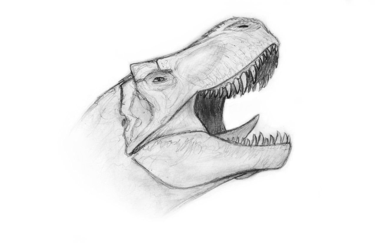 Динозавр рисунок карандашом