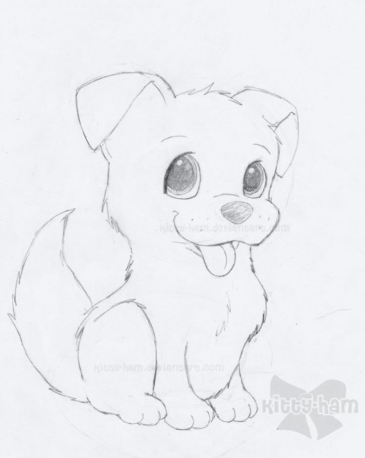 Нарисовать щенка карандашом