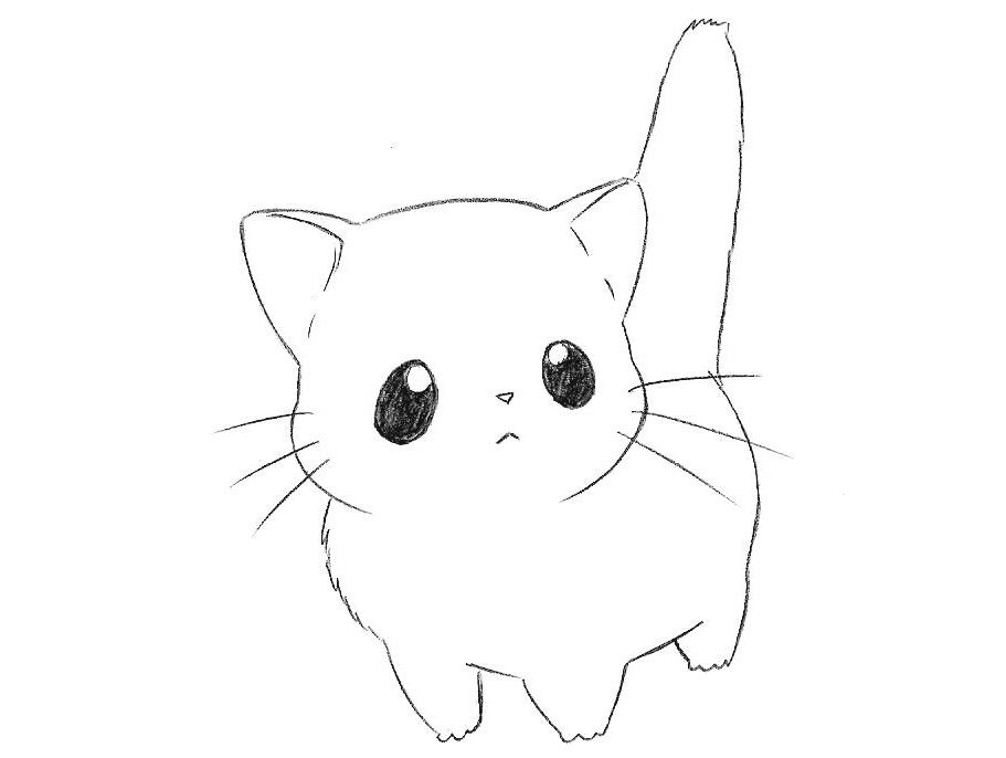 Картинки нарисованные котики легкие. Рисунки котят для срисовки. Рисунки для срисовки котики. Милые рисунки легкие. Милые рисунки карандашом.
