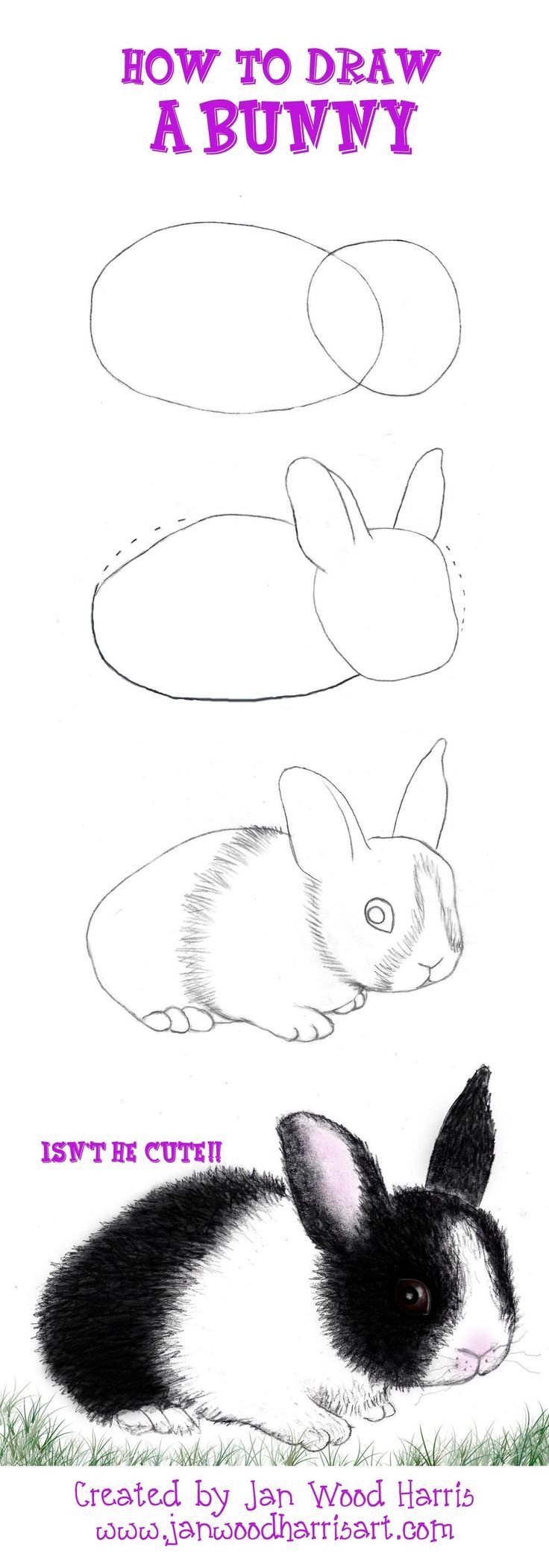 Кролик рисунок карандашом поэтапно
