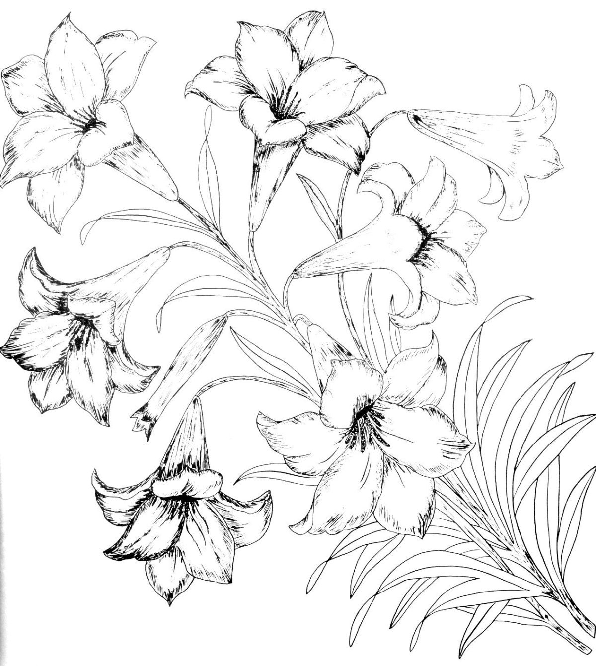 Эскизы для батика цветы