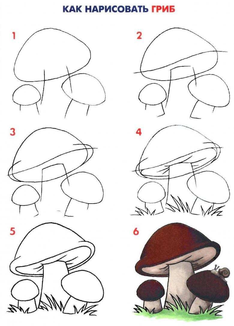 Нарисовать гриб поэтапно