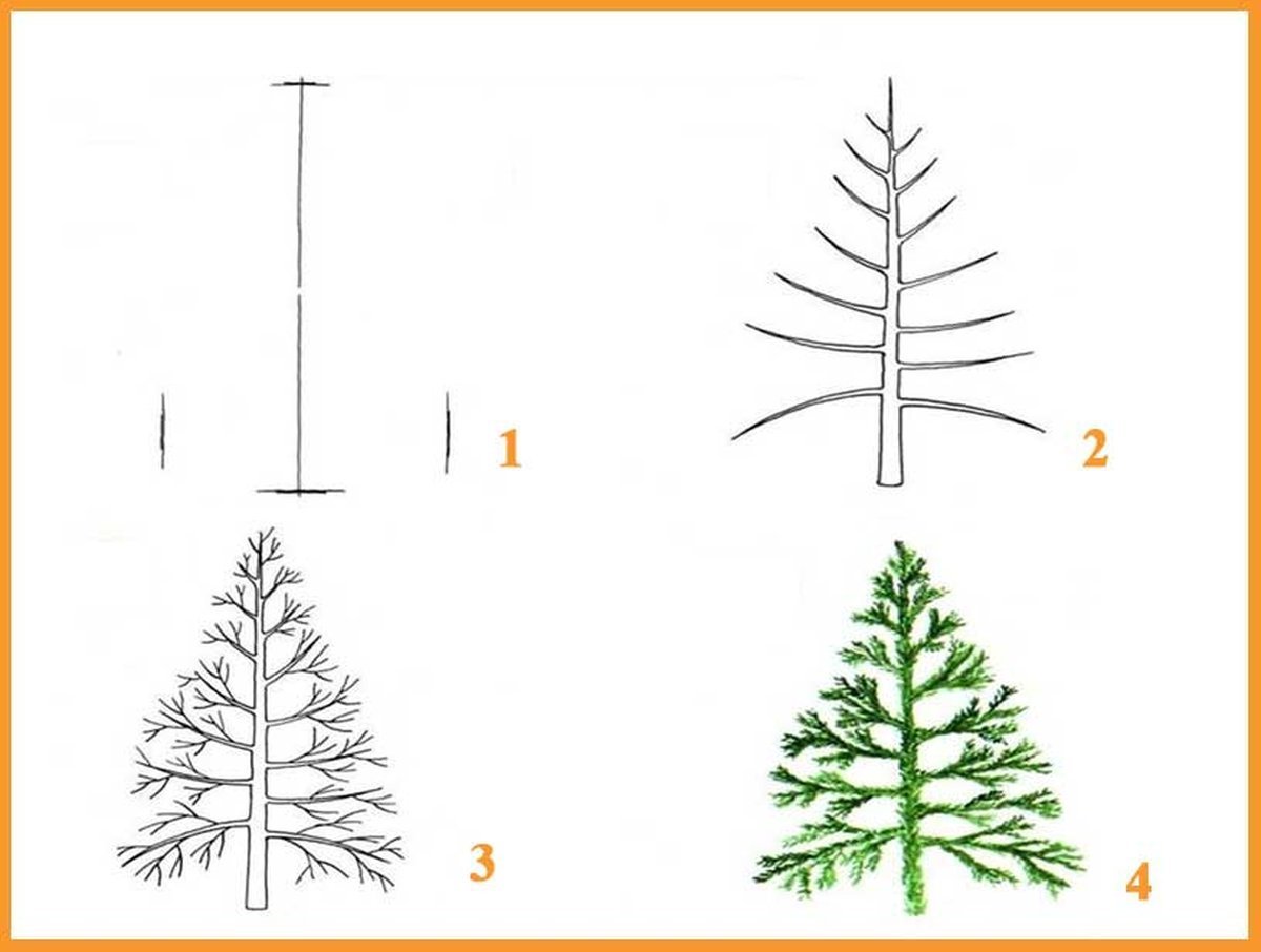 Схема поэтапного рисования дерева для детей