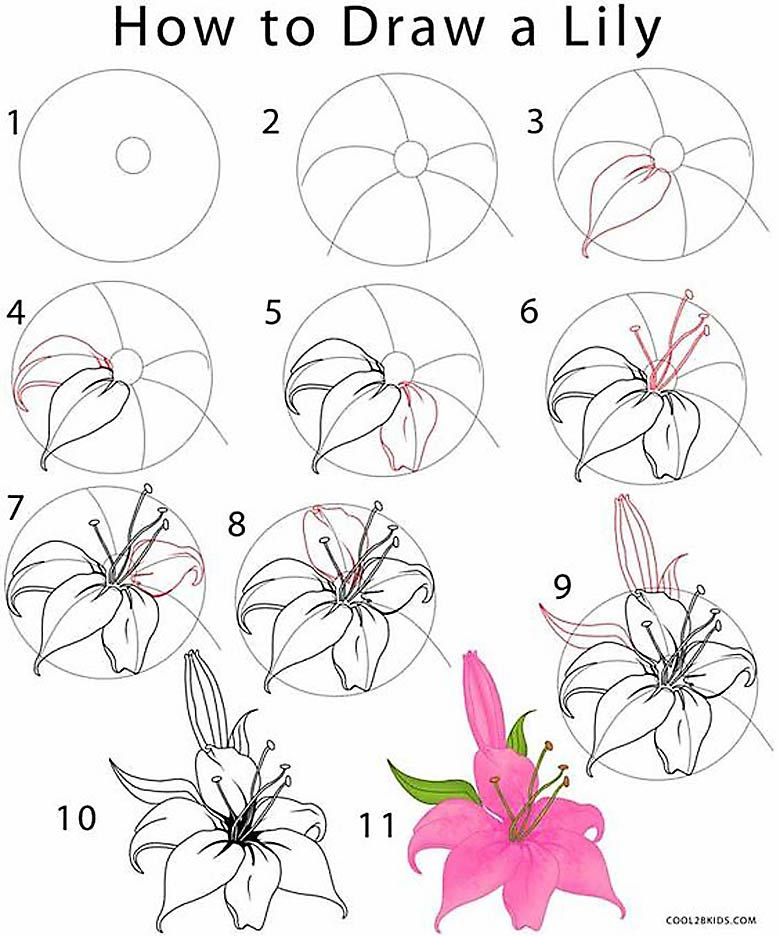 Схемы рисования цветов. Рисование для начинающих цветы. Поэтапное рисование цветка. Простые цветы для рисования.
