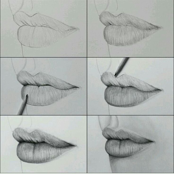 Рисуем губы карандашом поэтапно для начинающих на бумаге