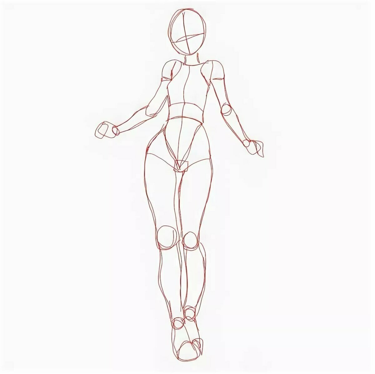 Анатомия девушки для рисования