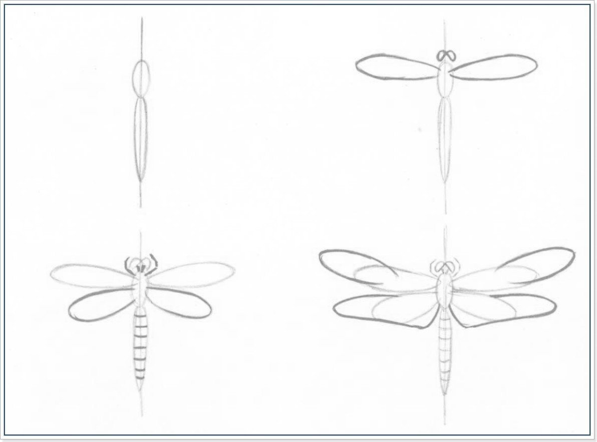 Симметричное рисование насекомых