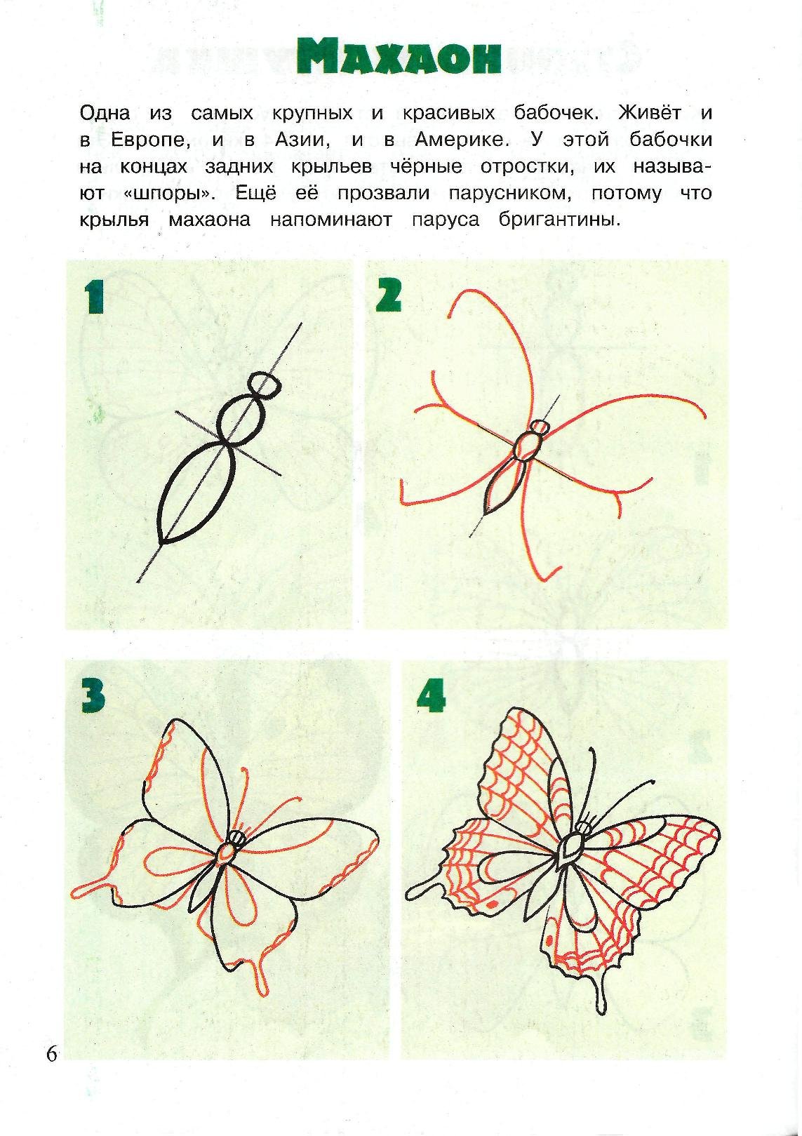 Нарисовать бабочку Махаон пошагово