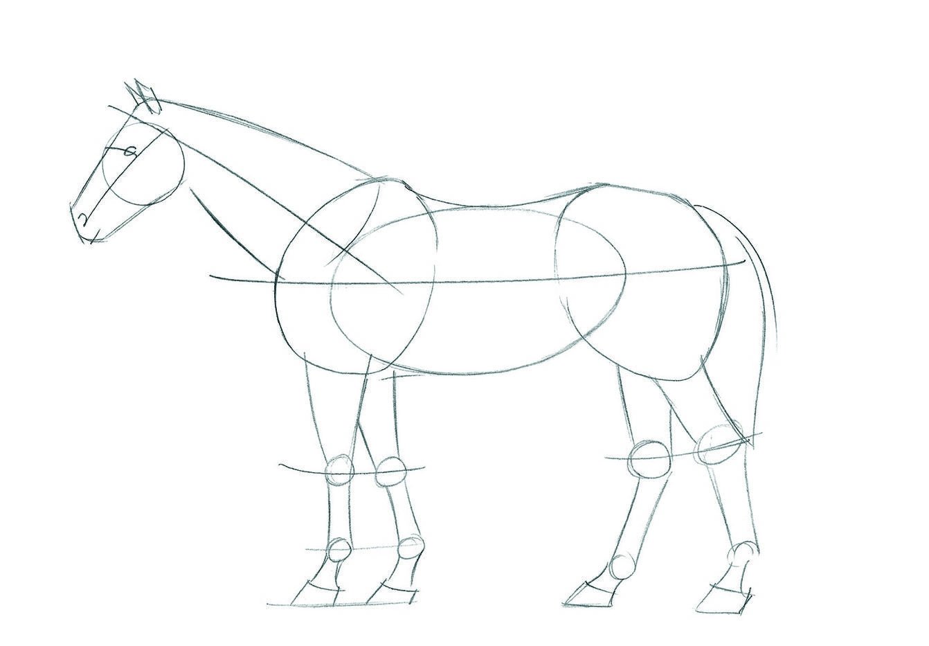 Как рисовать лошадь поэтапно