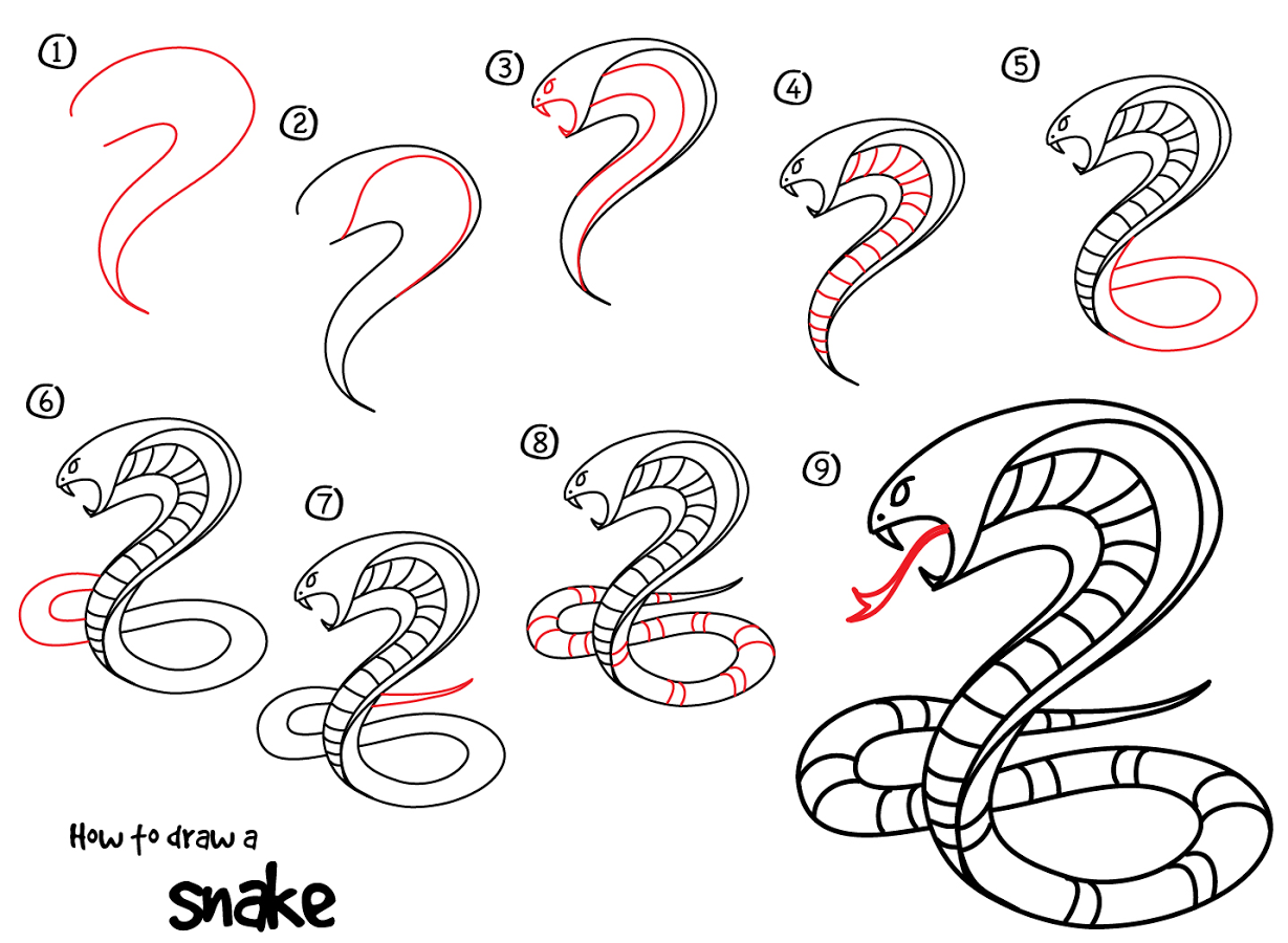 Змейка для начинающих. Поэтапный рисунок змеи. Змея карандашом. Змея рисунок карандашом для срисовки. Как нарисовать змею.