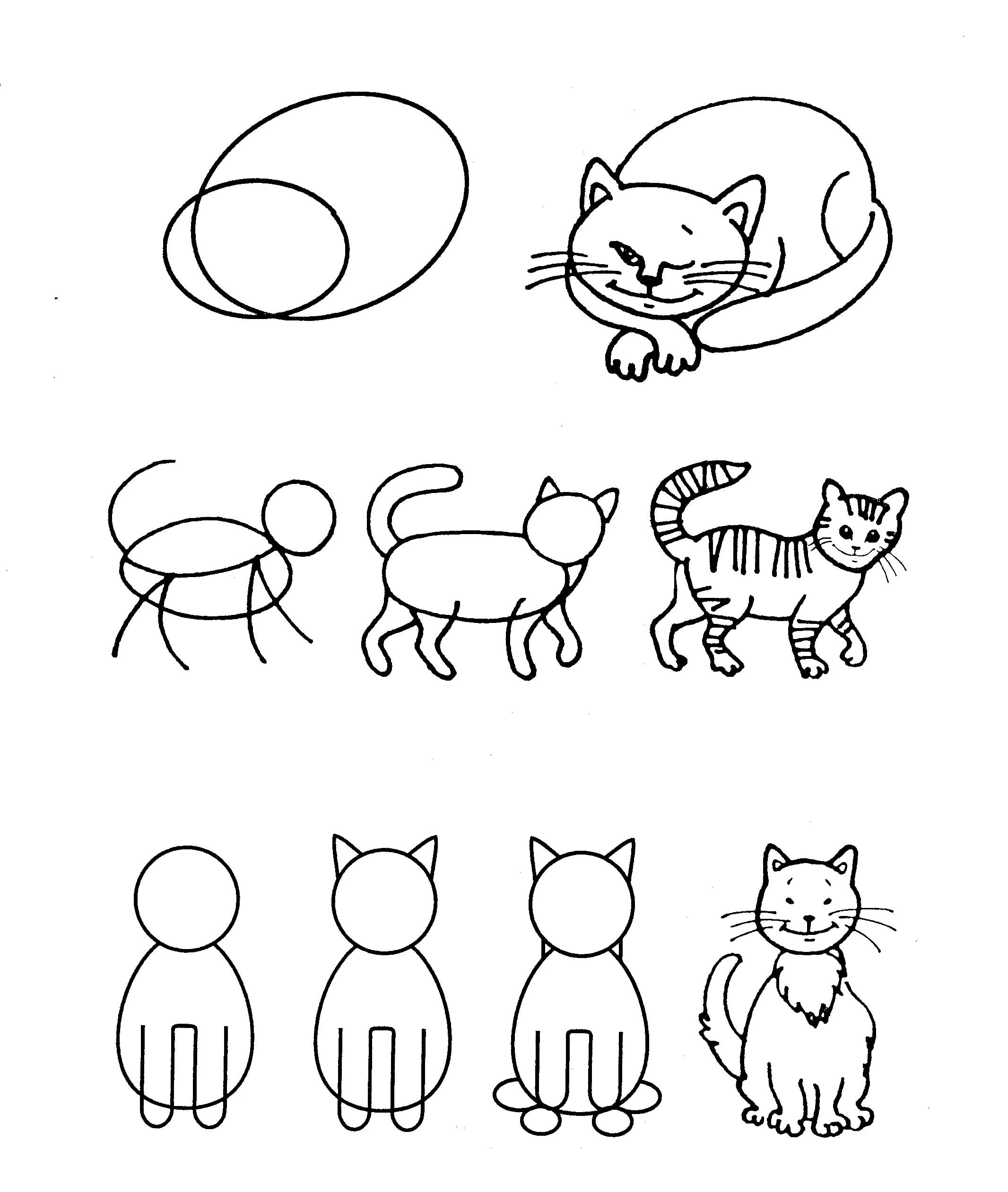 Рисование кошки в старшей группе