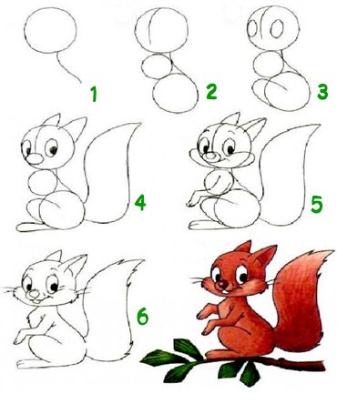 Поэтапный рисунок Белочка