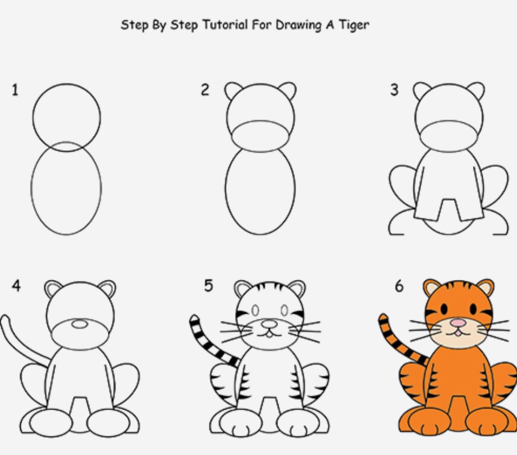 Поэтапный рисунок тигра для детей