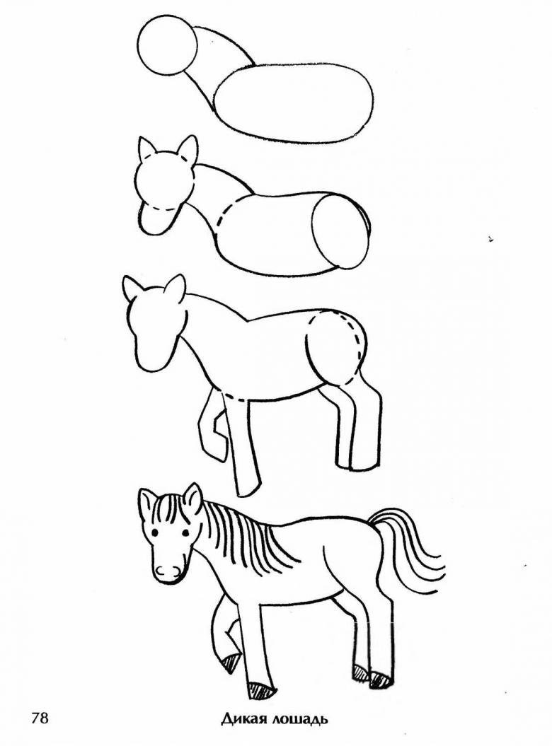 Поэтапный рисунок лошади