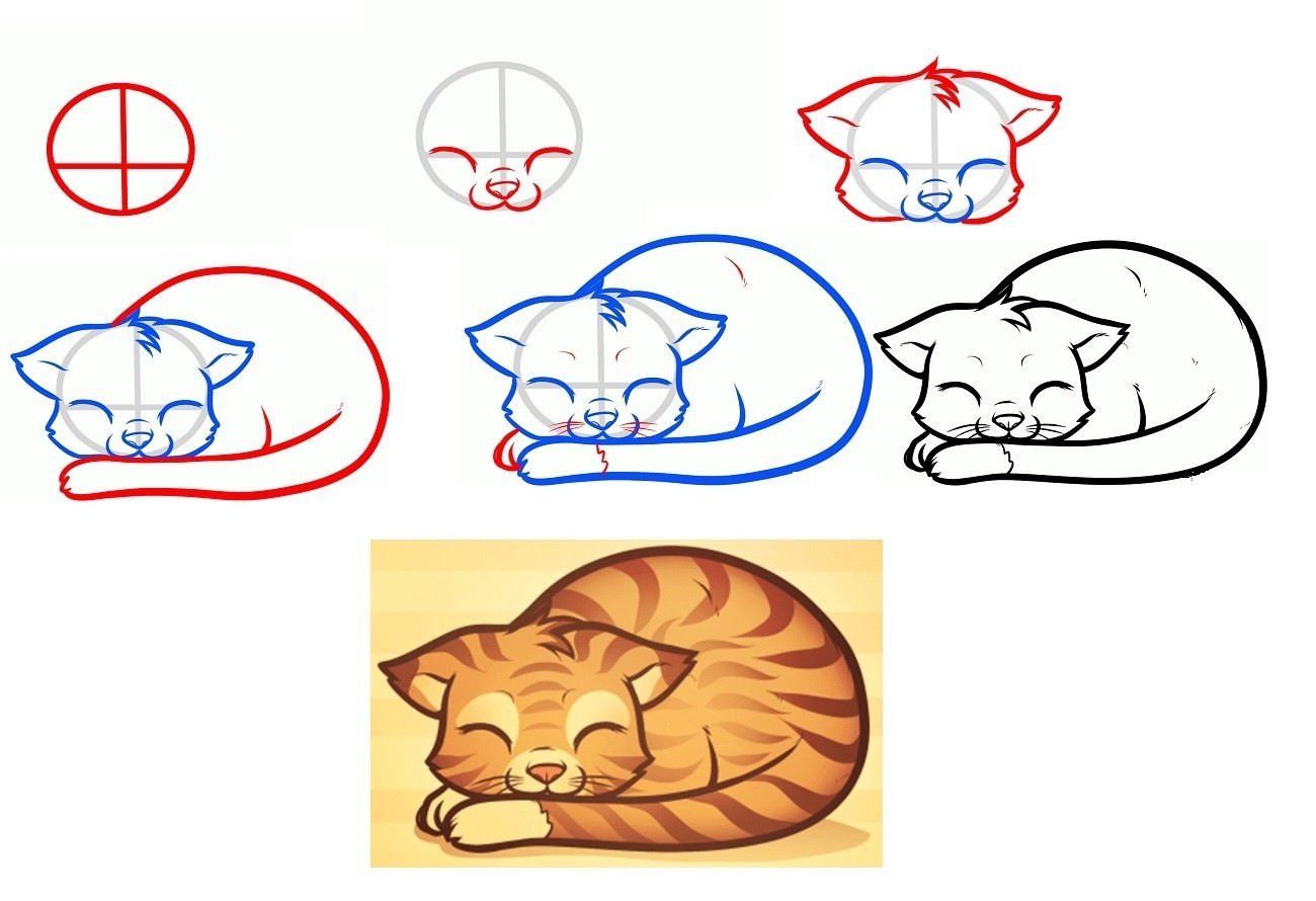 Поэтапный рисунок кошки
