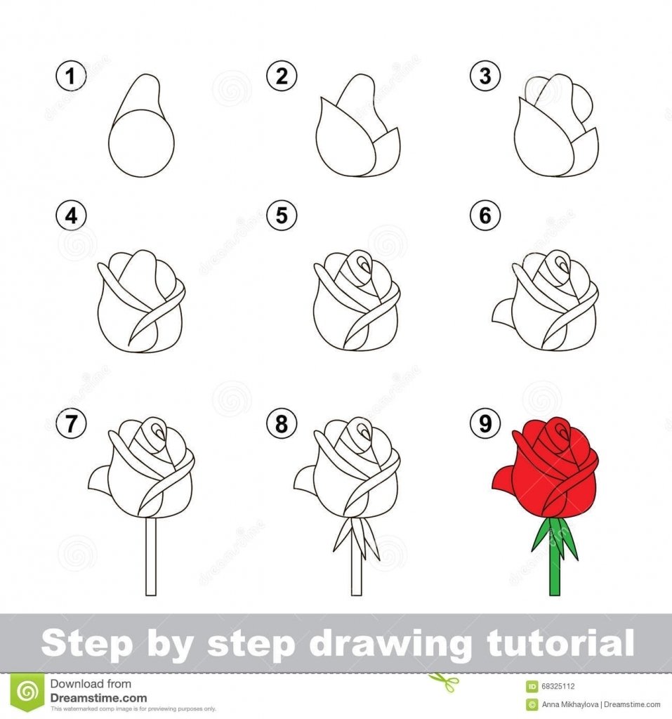 Нарисовать розу пошагово