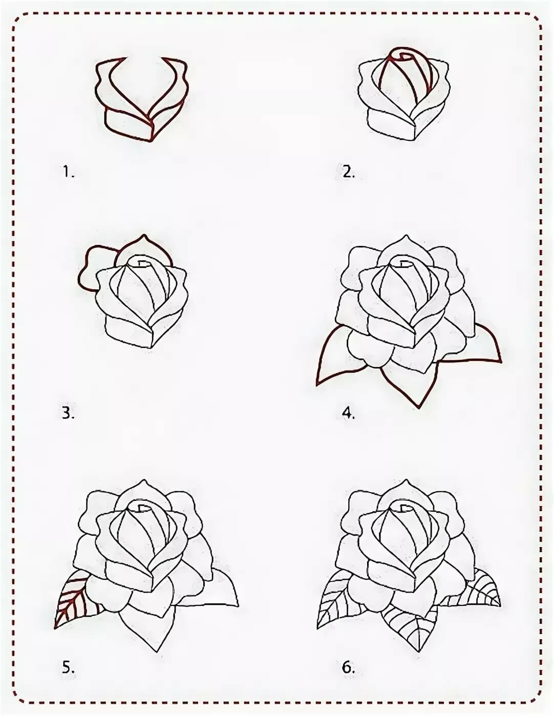 Роза рисунок карандашом легко для начинающих