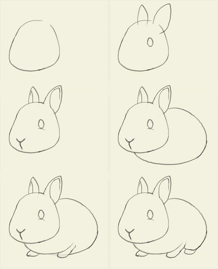 Легкие рисунки с 0. Лёгкие рисунки. Рисунки по этапно для начинающих. Рисунок кролика для срисовки. Рисунки карандашом для срисовки пошагово.