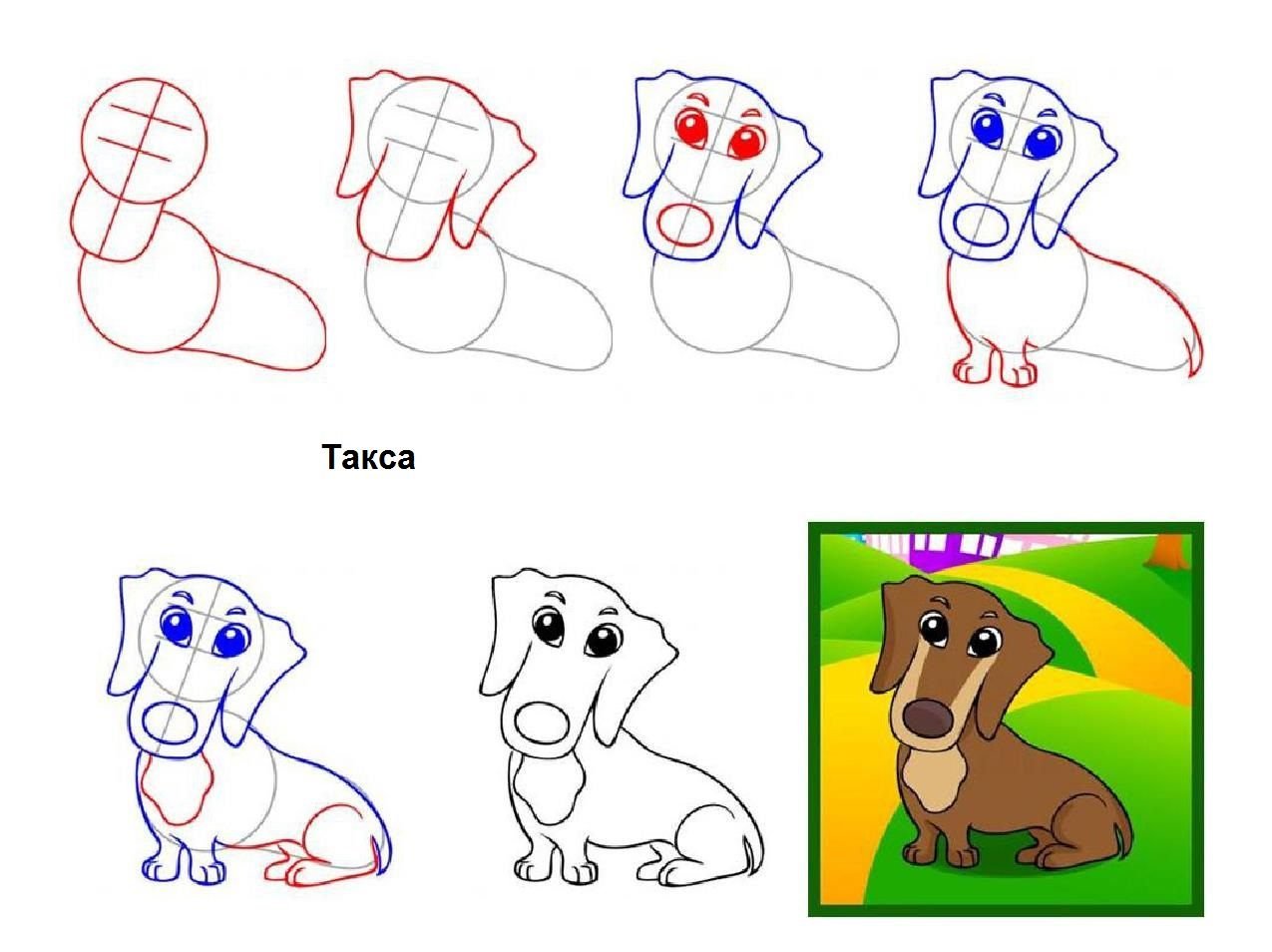 Как нарисовать собаку пошагово