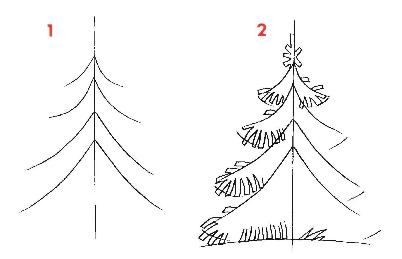Поэтапное рисование елки для детей старшей группы