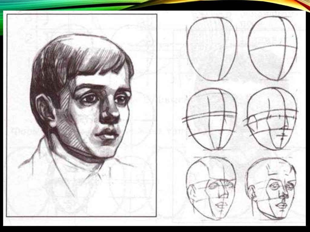 Рисуем 3 класс 3 четверть. Наброски головы. Схема лица человека для рисования. Наброски лица человека. Последовательность рисования портрета.