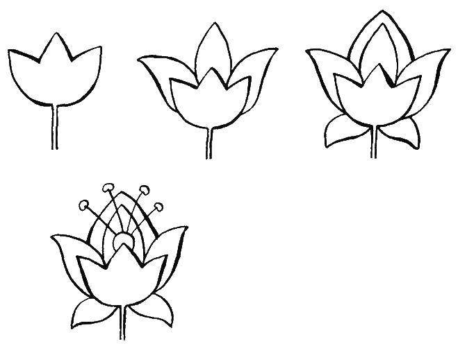 Рисунок на тему аленький цветочек легко (46 фото)