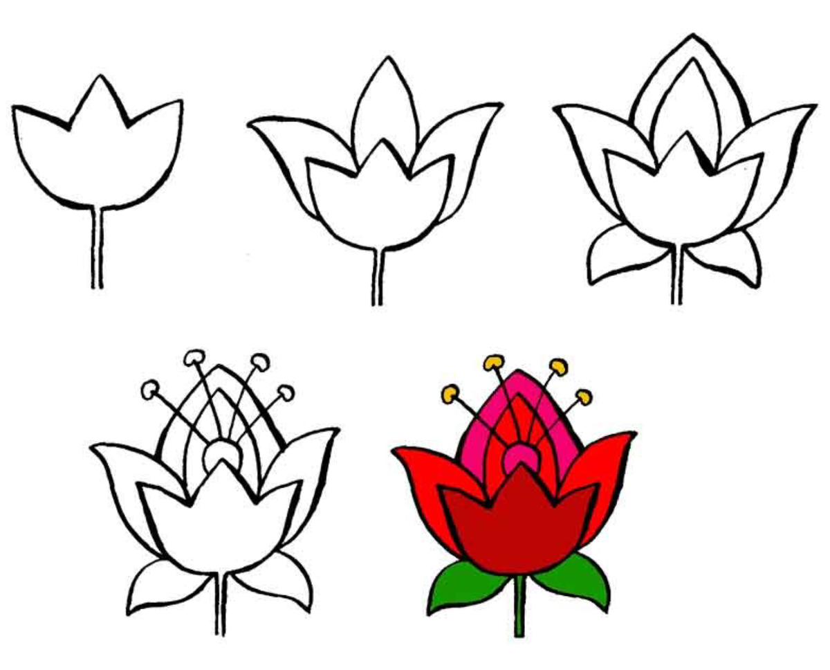 Как красиво нарисовать 4. Простые цветы для рисования. Рисунки цветов для срисовки. Рисунки для срисовки цветы. Простые рисунки цветов для срисовки.