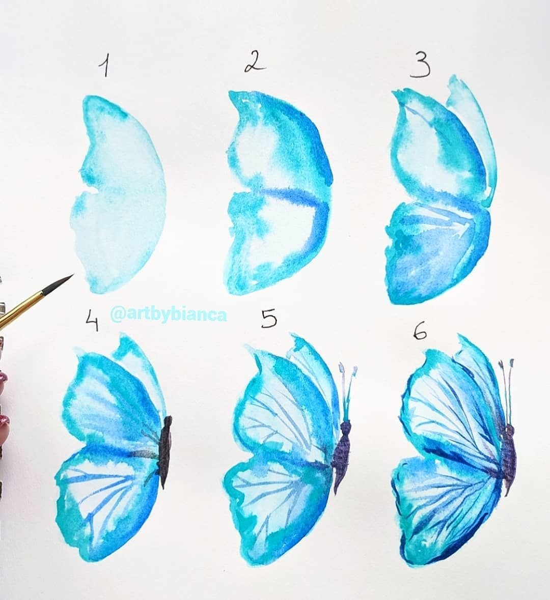 Бабочки акварелью для начинающих