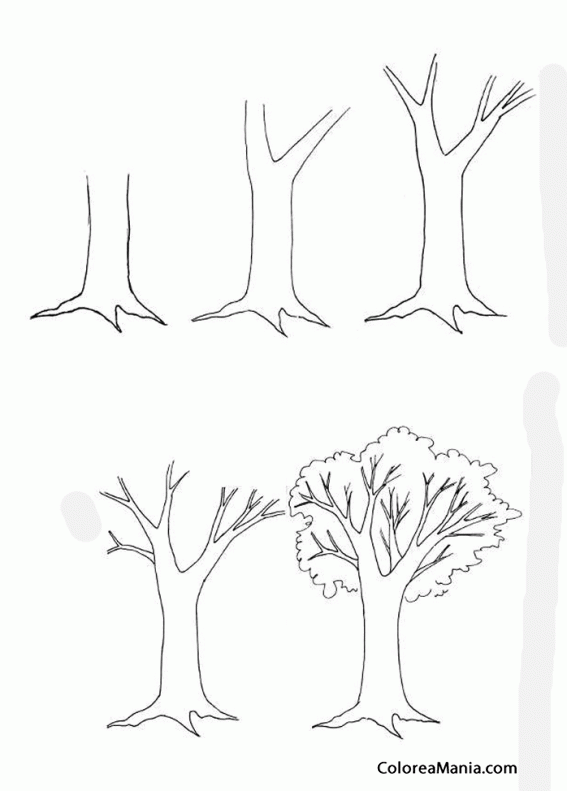 Поэтапное рисование дерева. Поэтапное рисование дерева для детей. Дерево рисунок карандашом. Поэтапное рисование дерева карандашом. Урок дерево 8 класс