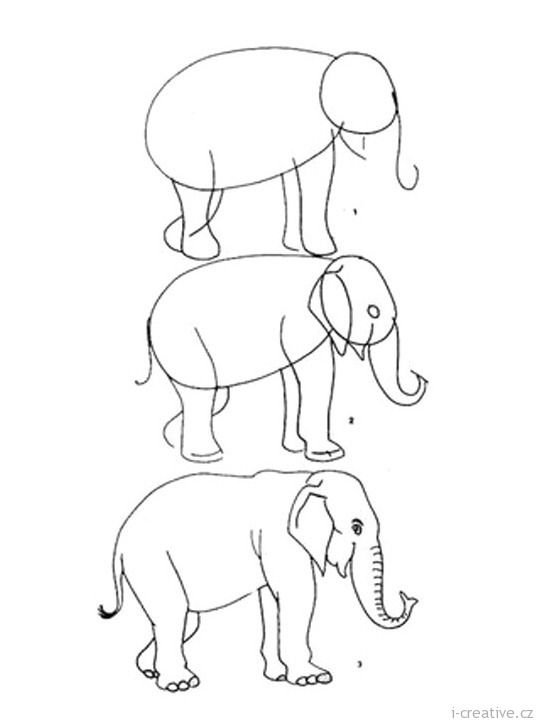 Как поэтапно нарисовать слона карандашом поэтапно