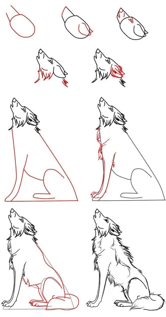 Нарисовать волка поэтапно