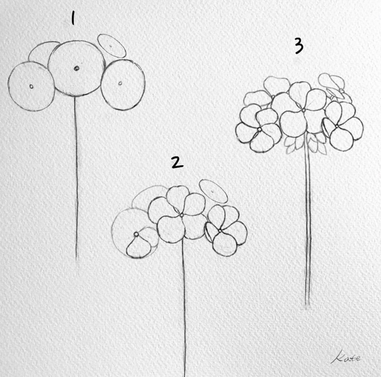 Простые рисунки 7 класса. Схемы рисования цветов. Несложные цветы для рисования. Цветы рисунок карандашом. Поэтапное рисование цветка.