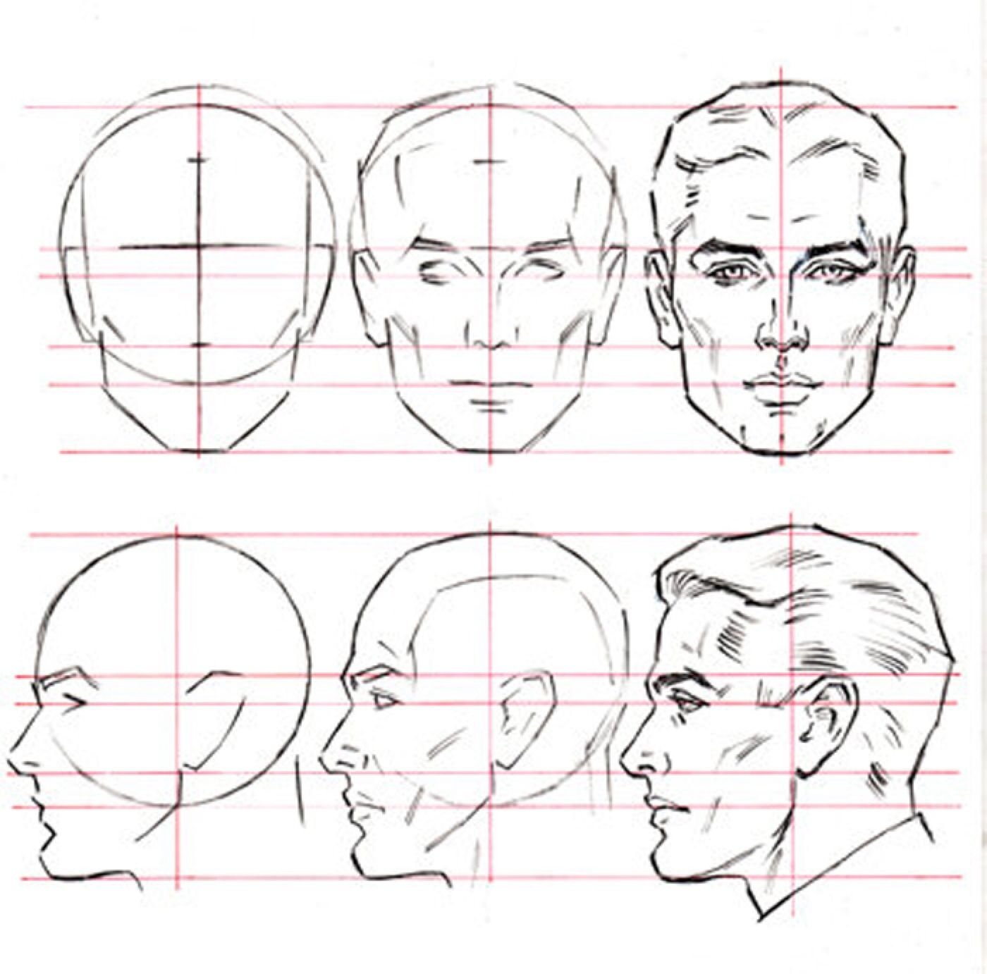 Схема головы человека в профиль и анфас