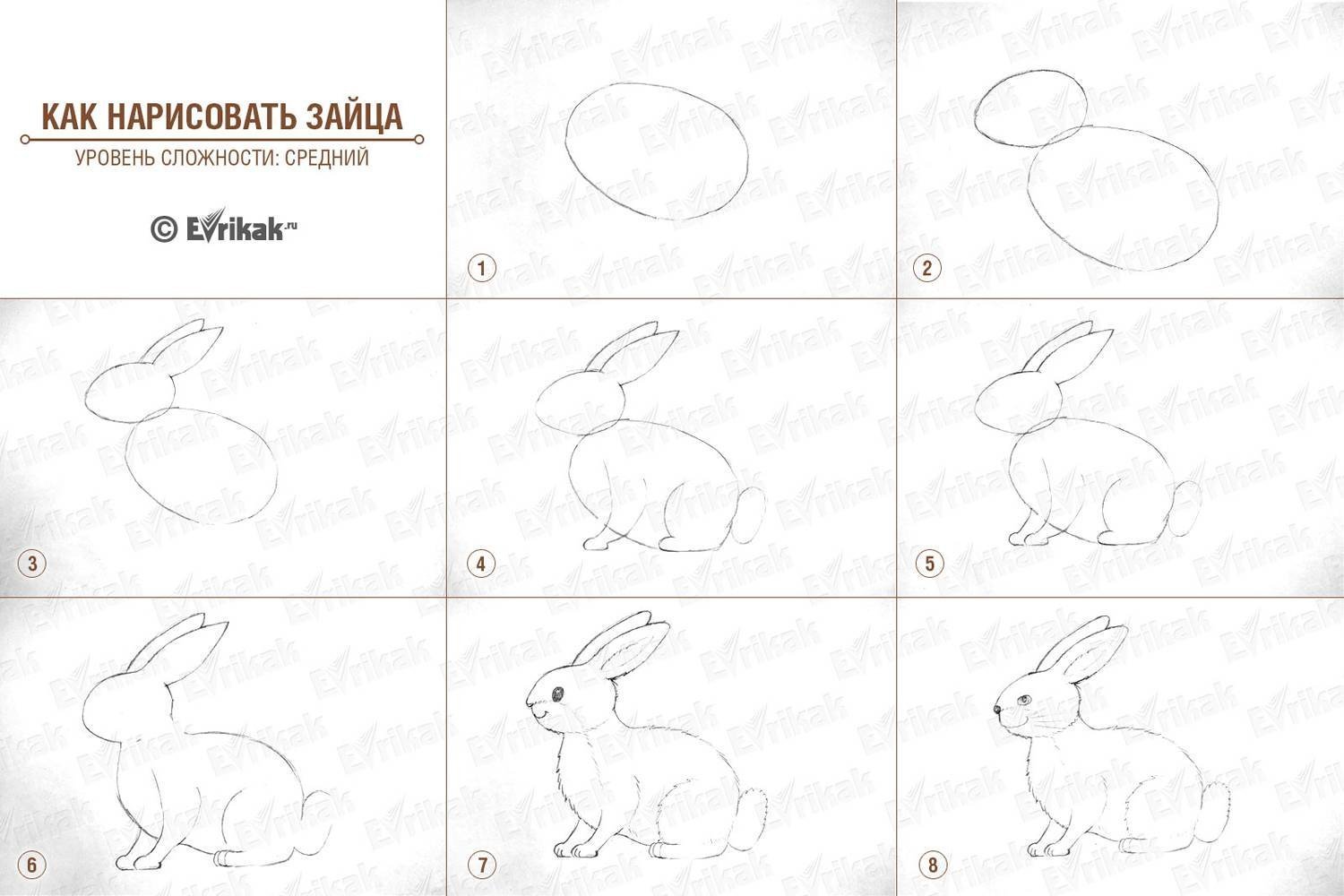Рисование зайца в средней группе