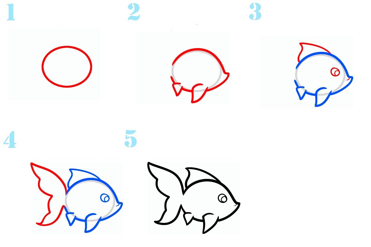 Нарисовать рыбку картинки. Поэтапное рисование рыбки. Пошаговое рисование рыбы. Нарисовать рыбку пошагово. Этапы рисования рыбки.