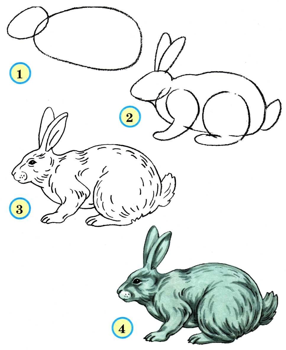 Уроки рисования зайца